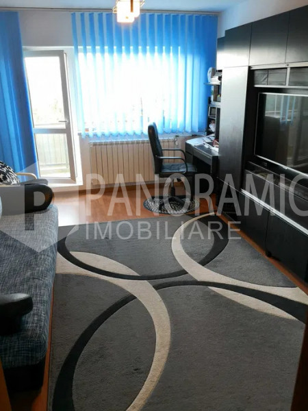 APARTAMENT 1 CAMERA, CARTIER MANASTUR