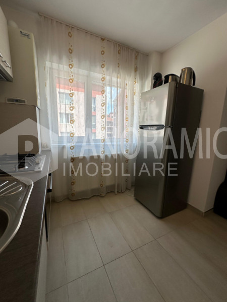 Apartament 1 camera GHEROGHENI BORHANCI