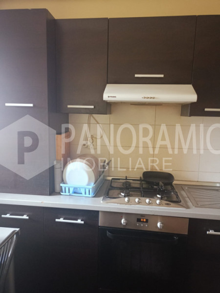 Apartament 1 camera zona Platinia