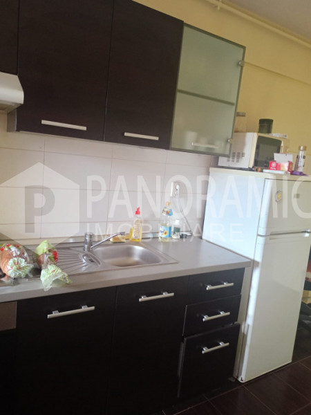 Apartament 1 camera zona Platinia