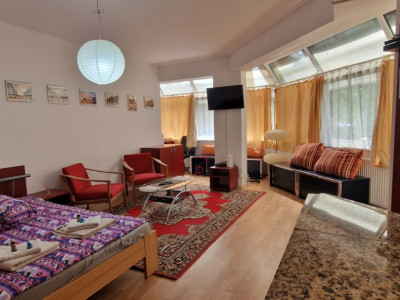 Apartament cu 1 cameră - Mănăștur