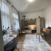 Apartament cu 1 cameră-Centru