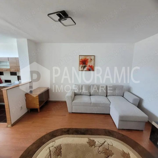 Garsonieră - Cartier Mănăștur, Zona Big