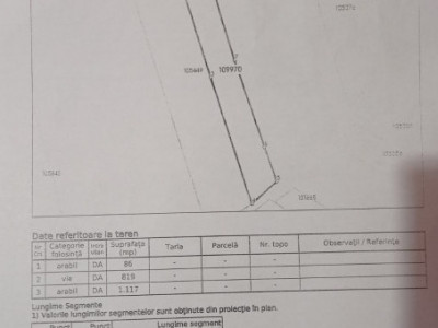 Teren, Viile Satu Mare