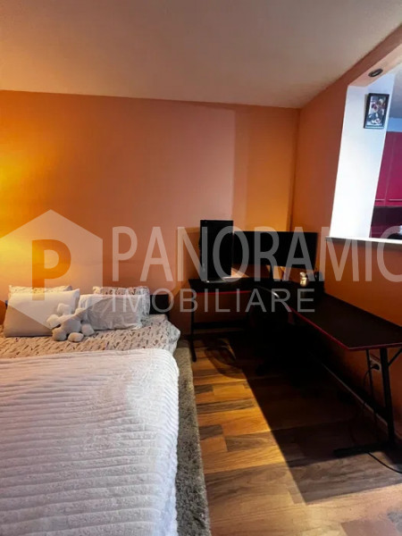 APARTAMENT CU O CAMERĂ - MĂNĂSTUR