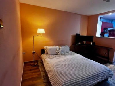APARTAMENT CU O CAMERĂ - MĂNĂSTUR