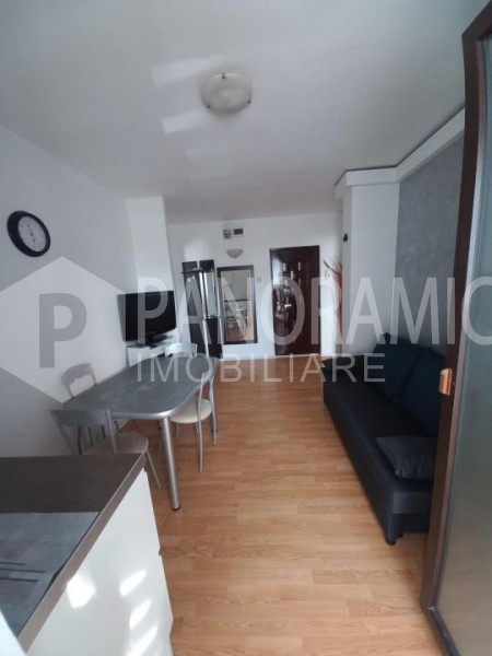 APARTAMENT 2 DORMITOARE MANASTUR