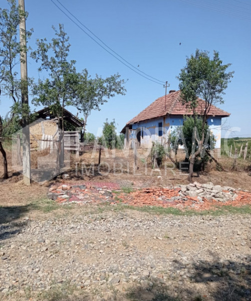 Casă cu Teren, Sărătura