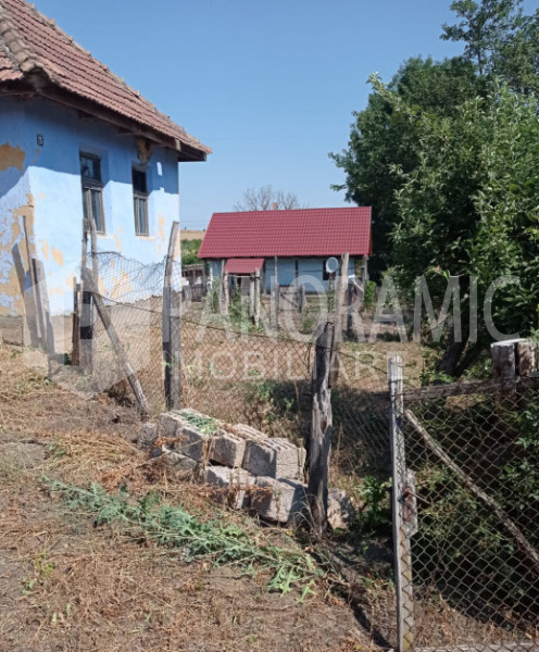 Casă cu Teren, Sărătura