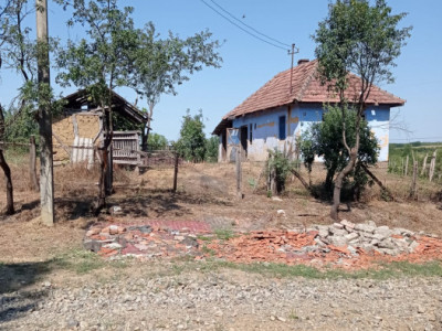 Casă cu Teren, Sărătura